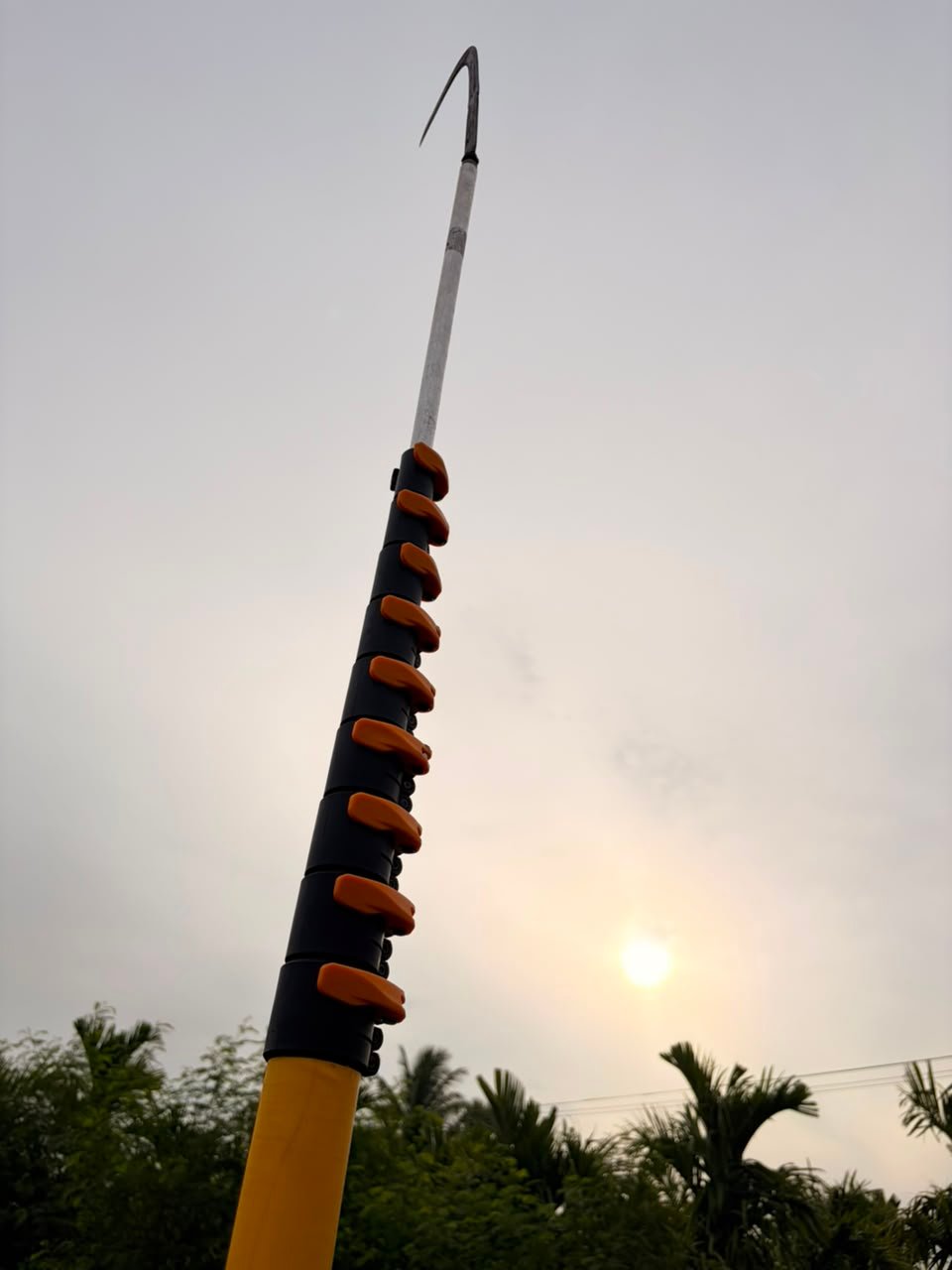 SKANDHA carbon fiber arecanut harvesting pole extended toward the sky